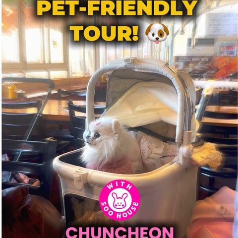 카페 안 유모차형 이동장 안에 앉아 있는 흰색 포메라니안. 화면 위에 “PET-FRIENDLY TOUR!”라는 노란 자막과 ‘WITH SOO HOUSE’ 분홍 로고, 아래에 “CHUNCHEON”이라는 글자가 보인다