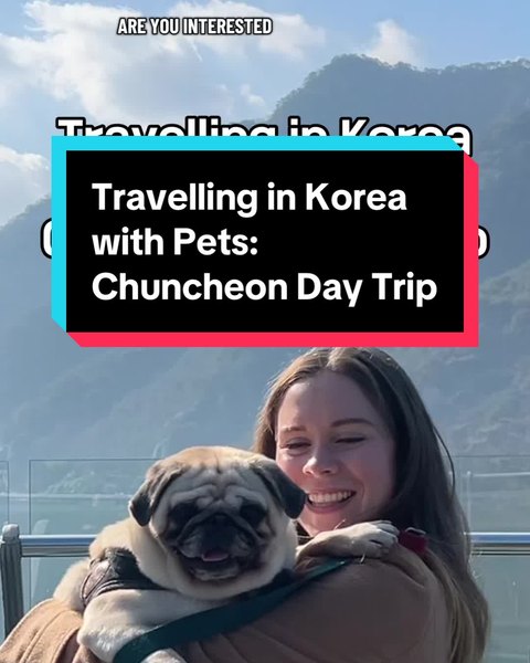 반려견을 안고 춘천 여행을 소개하는 외국인 크리에이터
