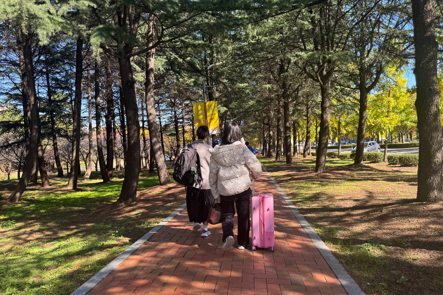 가로수가 늘어선 대학 캠퍼스 산책로를 두 사람이 등을 보이며 걸어가고 있고, 한 사람은 배낭을 메고 다른 한 사람은 분홍색 캐리어를 끌고 있습니다